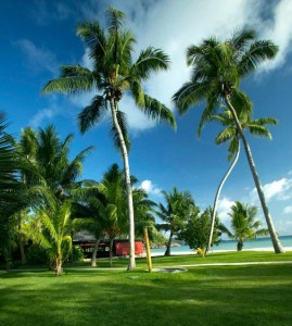 sunshine paradise suites paradise island bahamas