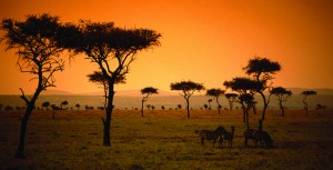 Kenya: nuova strategia quinquennale per diversificare prodotto e flussi turistici