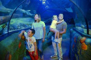 Gardaland Sea Life festeggia il suo decimo compleanno