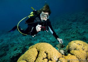 Sarà l’oceanografa Sylvia Earle la madrina della Explora I