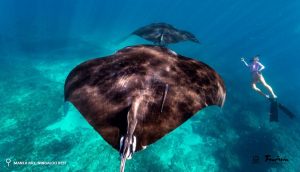 Scoprire il Western Australia con Gattinoni: una terra sorprendente a 16 ore di volo