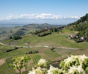 Uve Rooms & Wine Bar di La Morra, nel cuore delle Langhe per un soggiorno esperienziale