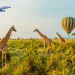 Ethiopian Airlines potenzia la capacità sulle rotte verso la Tanzania
