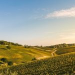 Palazzo di Varignana, con Settembre in Vigna esperienze tra degustazioni, visite guidate e bio walking