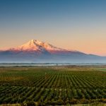 Armenia: a Yerevan, dall'11 settembre, la Conferenza globale sul turismo del vino