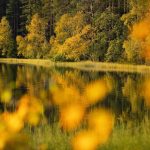 La Ruska: il foliage del Nord per una Finlandia open air che non ti aspetti