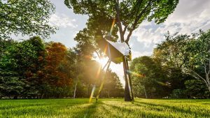 Club del Sole: allo Spina nasce Treeship, prototipo di un futuro Tree Village
