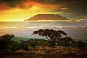 Kel 12 insieme alla regista Guia Zupponi per un tour rigenerativo sulla vetta del Kilimanjaro