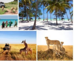 Evolution Travel, nuove proposte su misura per scoprire la Tanzania