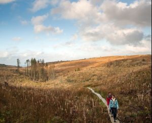 Irlanda: il Burren entra nella top 10 della Best Community Tourism Project di Lonely Planet