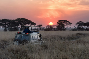 Il Sudafrica di Kibo tra cultura e avventura