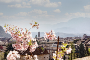 Bolzano: prove di riapertura con tante manifestazioni
