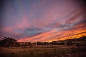 Per l’Australia il premio “Comunità-recupero habitat naturali”, un ricoscimento da Lonely Planet dopo gli incendi