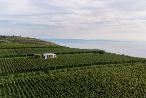 La tenuta di Castellaro Wine Resort new entry siciliana degli Ecoluxury Retreats of the World